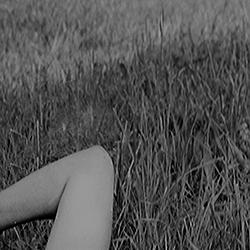 Silent Spring: Art and Nature 1930–1970