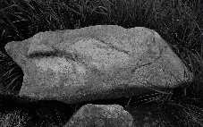 Nalezen kammgranitov balvan ponechan na mst, cca 80 x 40 x 40 cm, Krkonoe, 1979