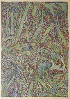 Vvraty v Schrollenheide, barevn devoryt, ilustrace autorsk knihy umava umrajc a romantick, 1931, Regionln muzeum a galerie v Jin