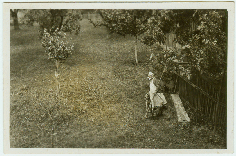 Studeansk zahrada, asi 1935, foto J. Vchal, archiv M. ejn