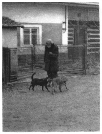 Vchal ve Studeanech, 1965, foto Sedlek, Studeany, sbrka Regionlnho muzea a galerie v Jin