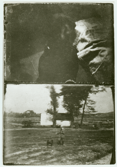 Pbh psa, dvojobraz, kolem 1916, foto J. Vchal, PNP Praha, reprofoto archiv M. ejn