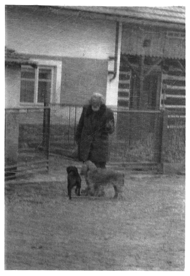 Vchal ve Studeanech, 1965, foto Sedlek, Studeany, sbrka Regionlnho muzea a galerie v Jin